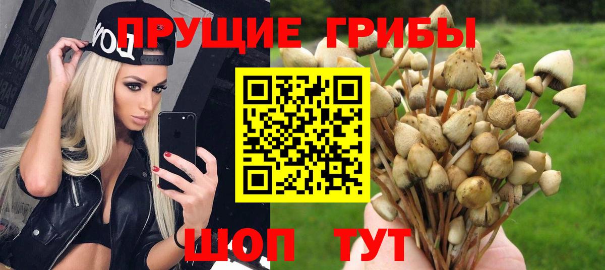 Галлюциногенные грибы Magic Shrooms Рязань